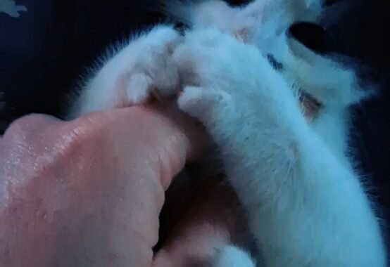 Screenshot 20260218 161643 Video Player