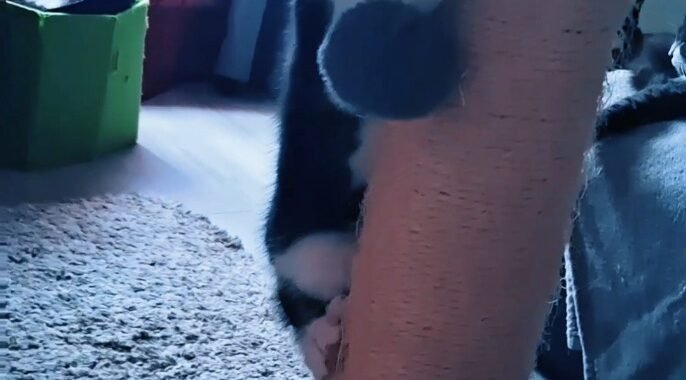 Screenshot 20260225 091502 Video Player