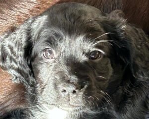 att.w83FCxmdW5zcOtwCpVwLDcA24QgbznJ7YB8HIFnChCE