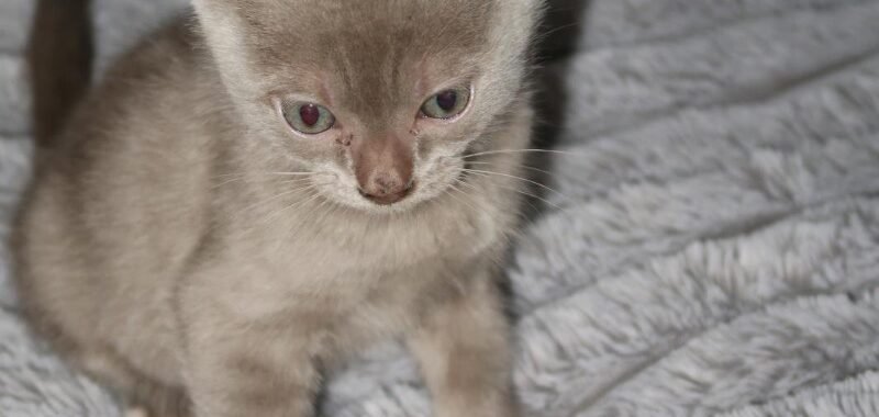 b19def7d ed75 43f6 b393 ae1a84243dba