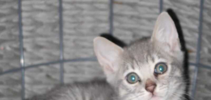 b64da343 38e8 4745 8497 5a8cbe69df18