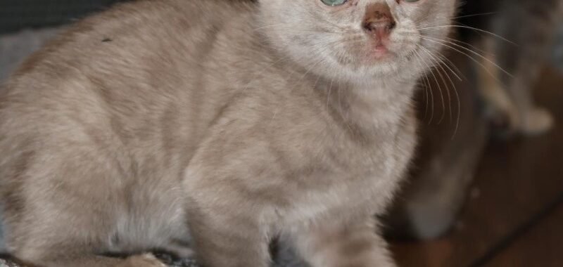 c2601247 6125 4f5d 9938 c189f8880c9a