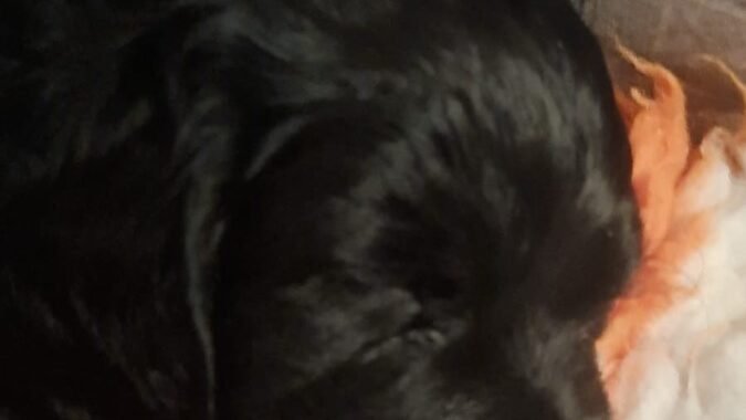 eff283a4 eec7 4d42 adeb c3fc33bda5cb