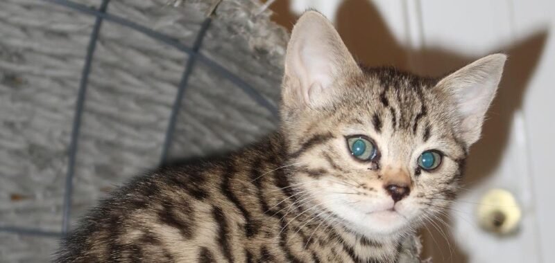 f2120e00 f9b9 4059 9e4e d0be8784d687