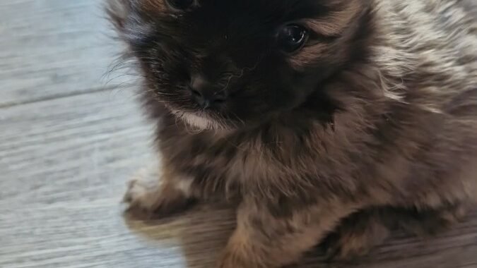 0fcfa2a6 3991 4938 90bb 52e463abf86a