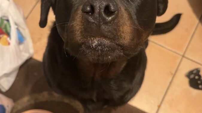 1248cfc4 ecc2 4748 b3ff 5fd43f5ce236