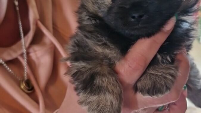 1aa96645 baef 402a 8e9b 718d117d63fc