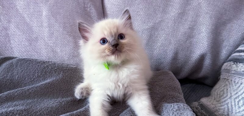 23460479 2FF8 43CE 83B3 D30450DD4011