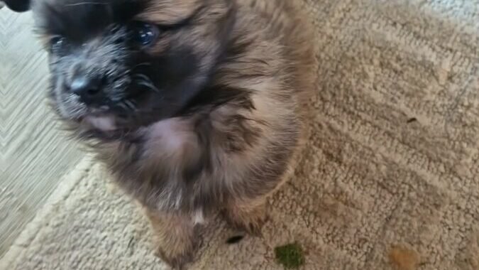 25cea2e5 5f6d 4e9c 94ce 342fd93c4875