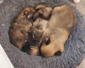 2c762a5f 0a19 4d1e bdc6 be8e98c092b7