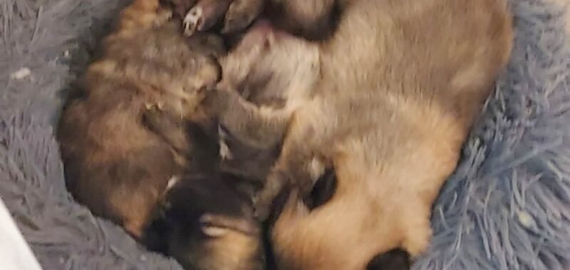 2c762a5f 0a19 4d1e bdc6 be8e98c092b7