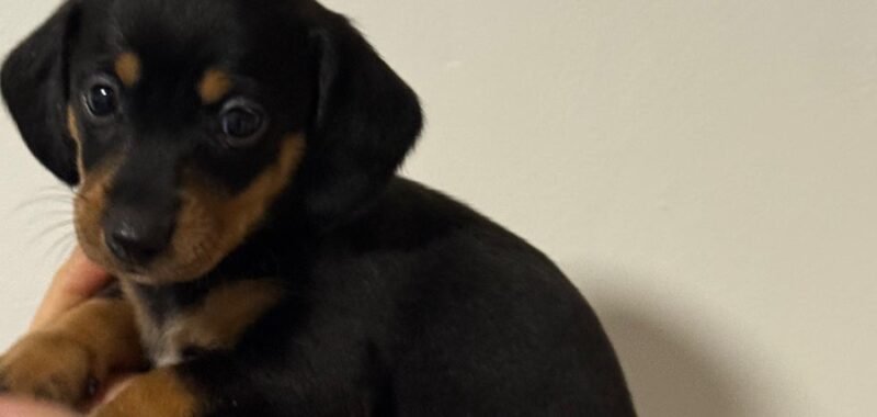 39240661 bd11 4694 a66d a4c59b732d47