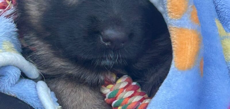 3aeff70a fb69 41b0 a0b6 58ddc099506a