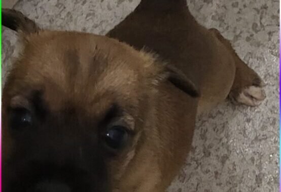 3d2fa3c8 0ec8 4cb8 843c d1e806929d44 1 all 15912