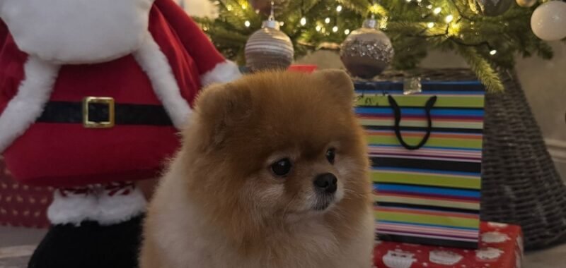 47b6b60a 2f48 4c4e 9ef9 8aada9567fc8