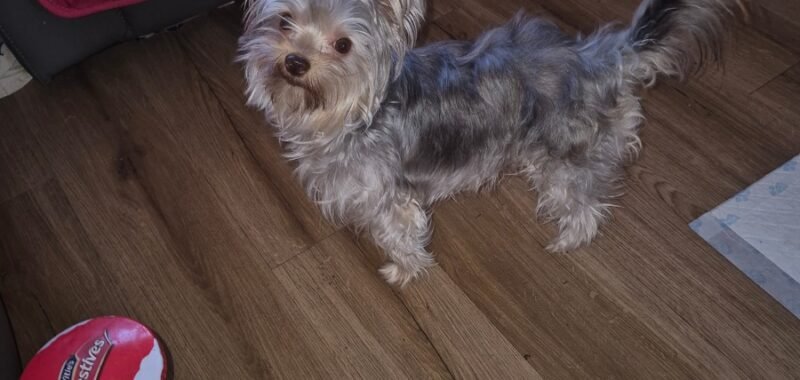 47e55d7d 7425 4141 9e86 4f051f91ab92 1 all 8049