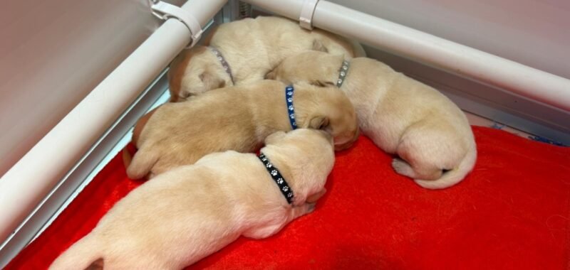 494d49c7 c60d 48a6 915d 9c6b9441a07f