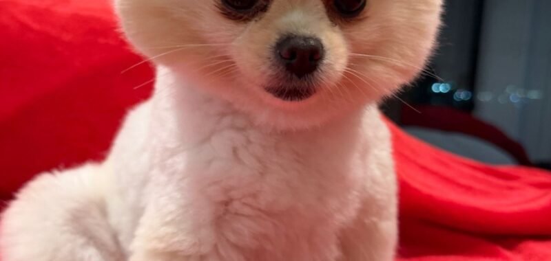 4e454710 bf95 4076 8b00 320e9e2a418b