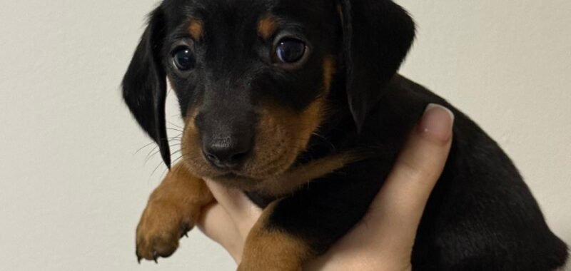 56c5ac99 e522 4274 a79e 1675a56b4227