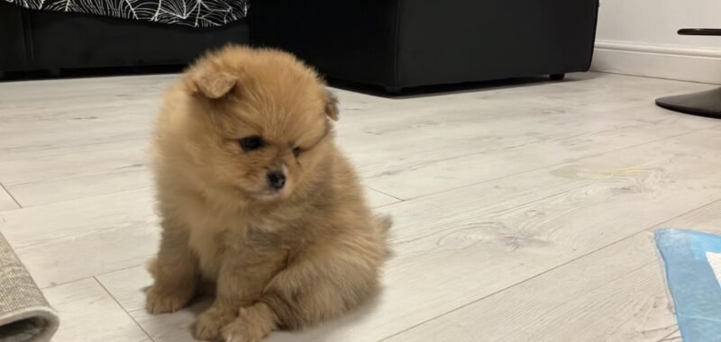 5f395e0e 7cd3 439f 811b cdae1161771b