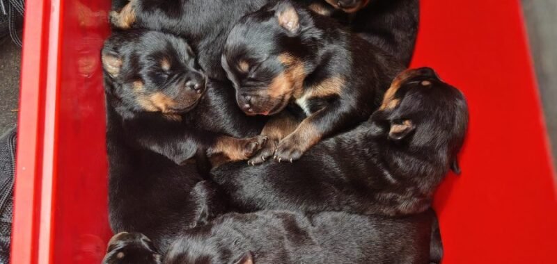 5f5c3e19 cec5 4548 ae19 e93be588571f