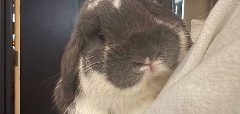 5f79d171 b2a7 47ab 8f62 14e5494e32cc