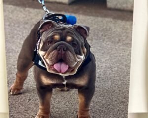 78723299846 9728CEE6 E4D1 4988 B375 5282096AE338