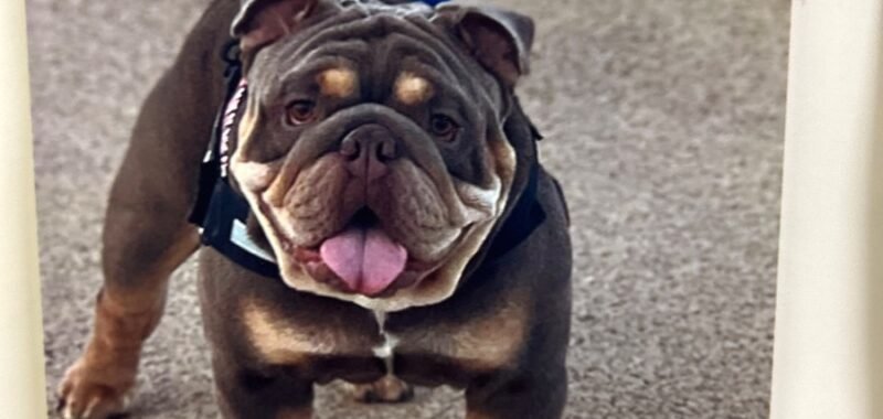 78723299846 9728CEE6 E4D1 4988 B375 5282096AE338