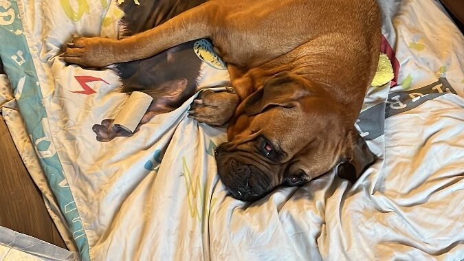 8CC5E765 3E22 47F0 8F92 5571703975EA