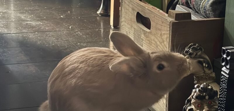 8a86be0f 13df 457b 98b4 b07cb1754b05