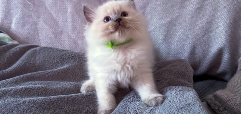 B7B4EC83 2FA8 4F03 A320 11AA2BB1EDEE