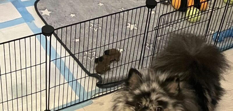 C2B0C046 585D 4C4E B67E 5014C9DC7B3E