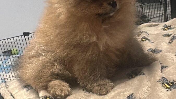 C9E7C08F 1036 4B98 8839 A28E2449814A