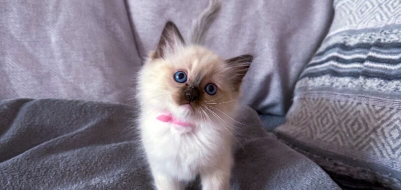 D890206D 7EE2 4BF4 8284 9121104CCB94