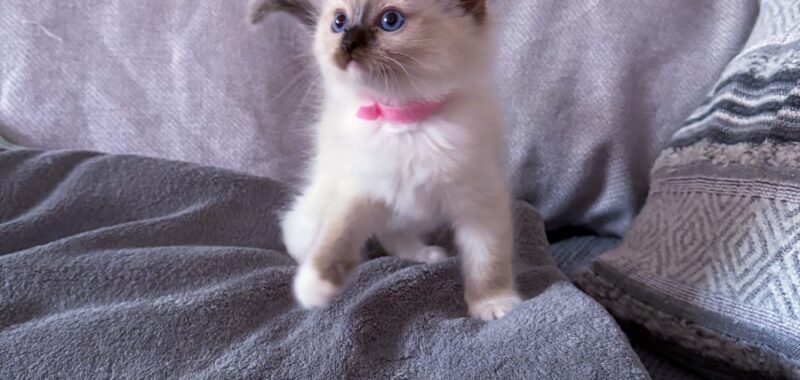 F028F52B 6261 4D29 8E2F 8270E69E98B6