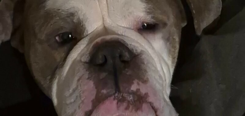 Messenger creation FB923182 C742 4034 BFF6 9B210845C2D7