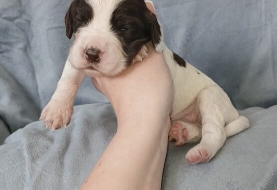 Screenshot 20260327 125405 Messages