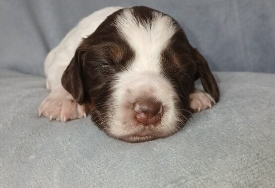 Screenshot 20260327 125923 Messages