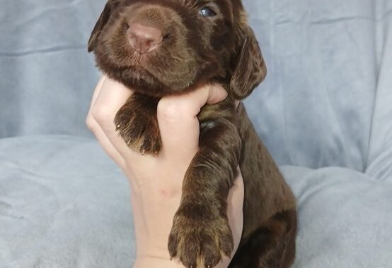 Screenshot 20260327 130500 Messages