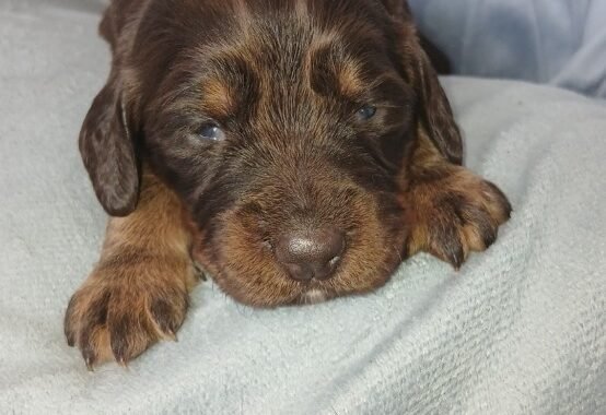 Screenshot 20260327 131034 Messages