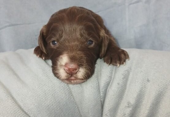 Screenshot 20260327 132215 Messages