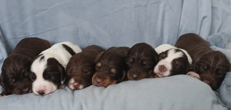 Screenshot 20260327 132412 Messages