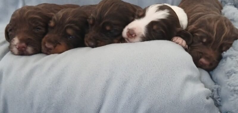 Screenshot 20260327 132504 Messages