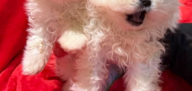 a7b03838 acd5 4282 942c 38e9af7054f5