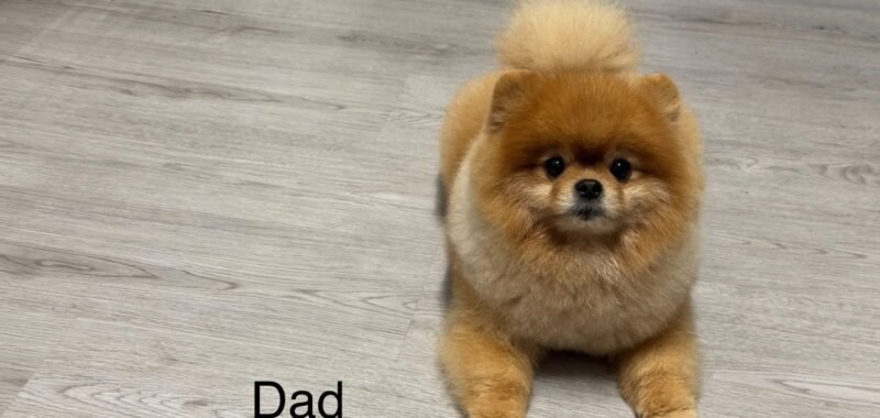 af24354f 01c6 414d 80e5 ad76cb25dce3