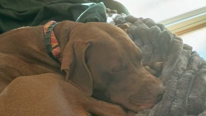 att.5lwXQqbOzzfuGJ5YGiqTnTFSR 6goOXnpCppdY5BplI.png