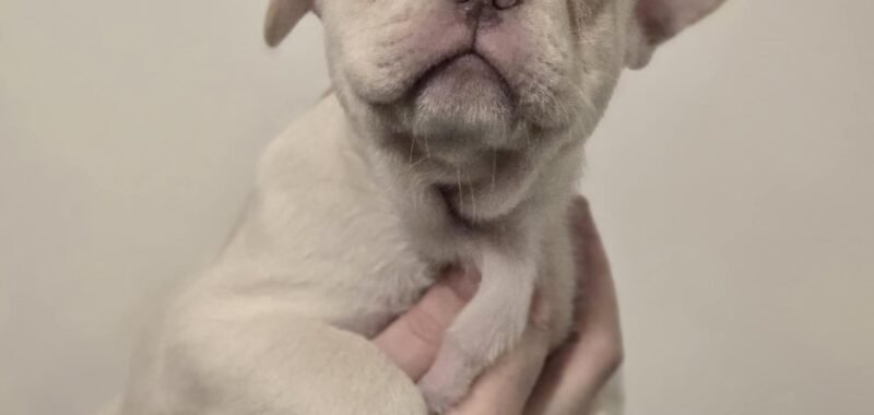 att.Cxg8H8SHPZTHnsJ 5nR9z 2JnHjcsCMr vRsJZOP8HE