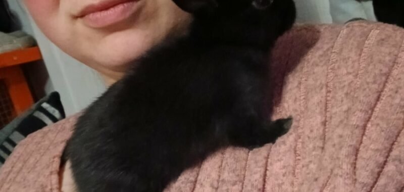 att.GEw5k7S0326u9JWItQrduCd7S2cFi03lyFwxUFRwlhc