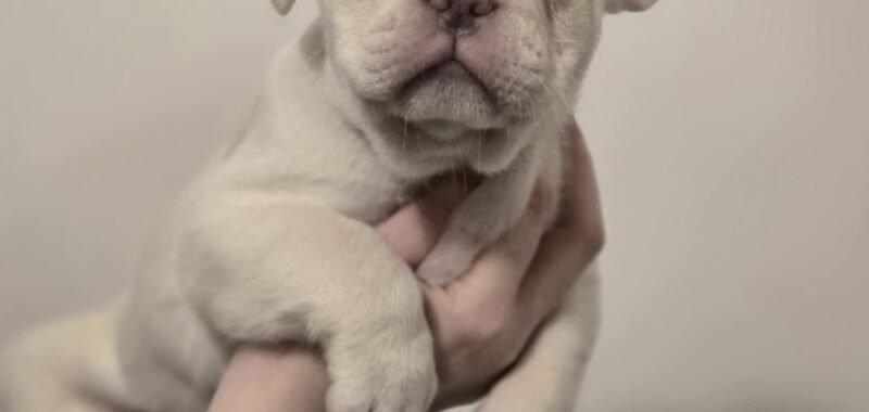 att.N6TrYVXbx6DEFTOB3gaSXI9F7xYJP9XFziDf13dvaX4