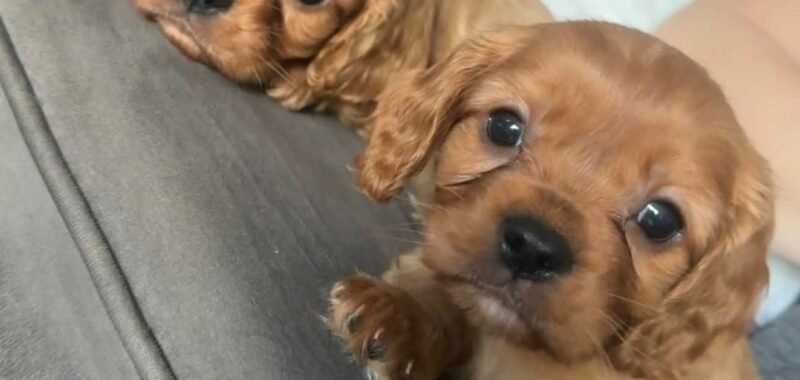 att.apKwYSl8T78xwctHLNw yx 7bdap0p Gj7nVcB80EPA